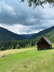 Idyllic mountain scene with wooden cabin and lush greenery in the Carpathians.